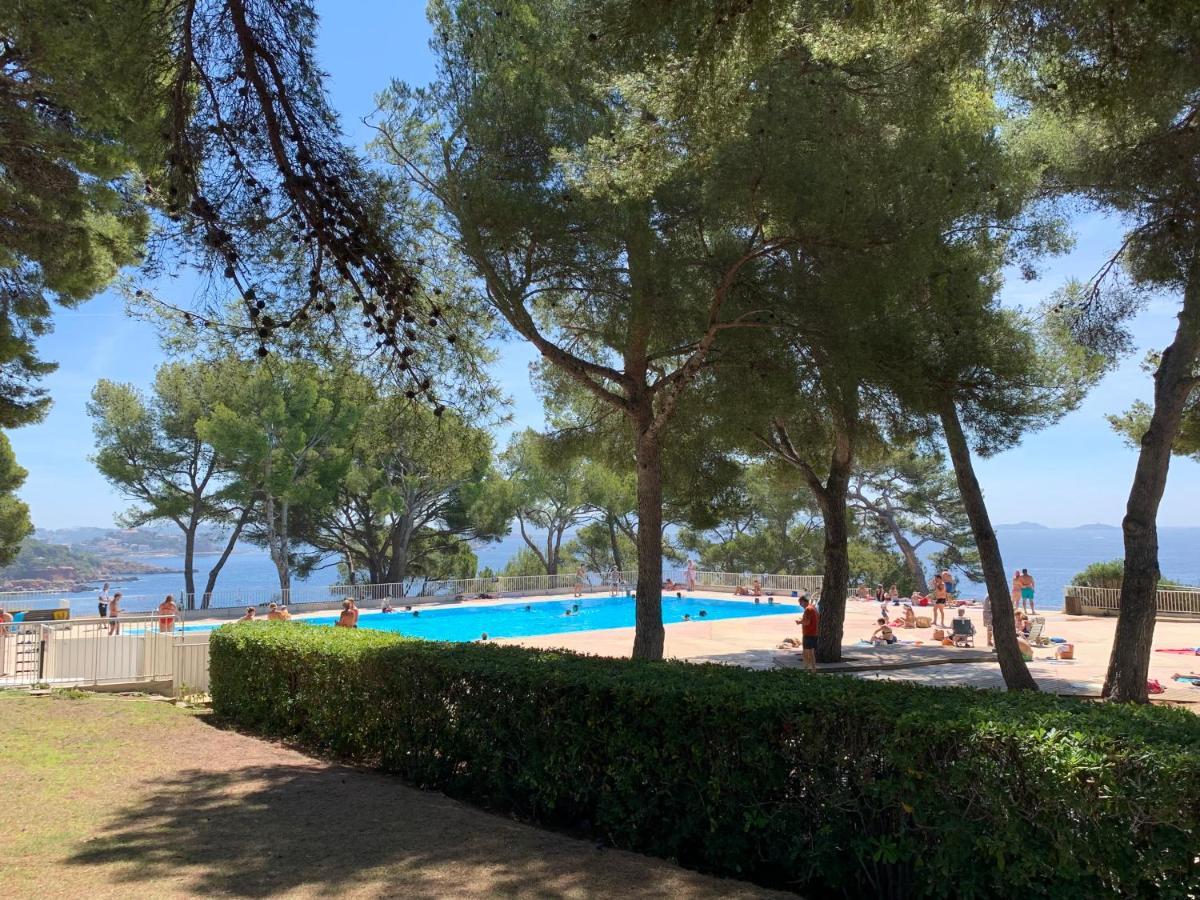 Horizon Bleu Bandol : Appartement Pieds Dans L'Eau Extérieur photo