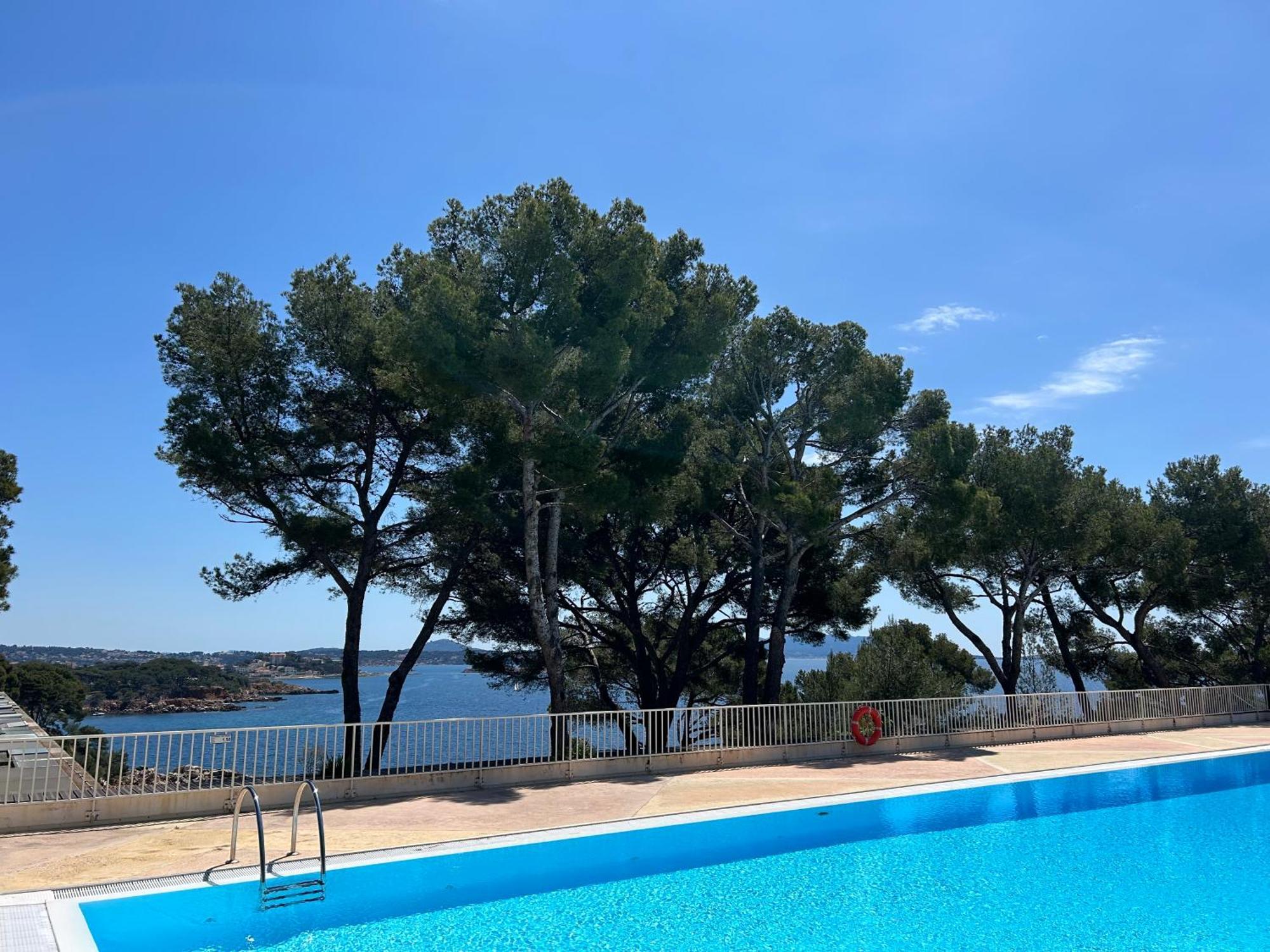 Horizon Bleu Bandol : Appartement Pieds Dans L'Eau Extérieur photo